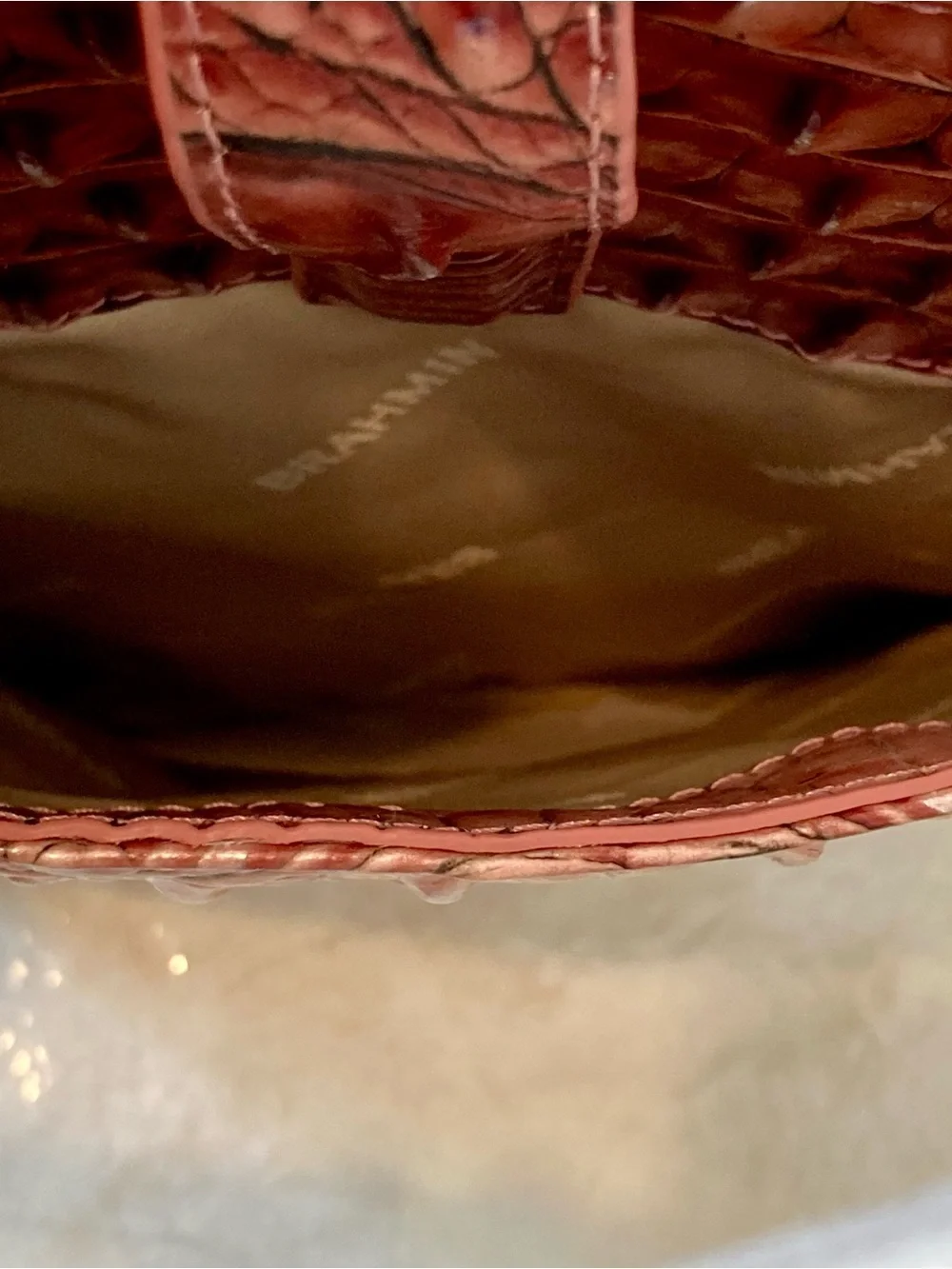 Brahmin nwt dustbag